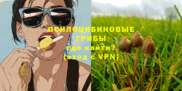 шишки Алексеевка