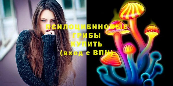 герыч Алексин